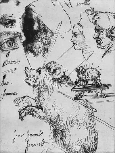 Studies for Impresa of the Carracci Family by Agostino Carracci